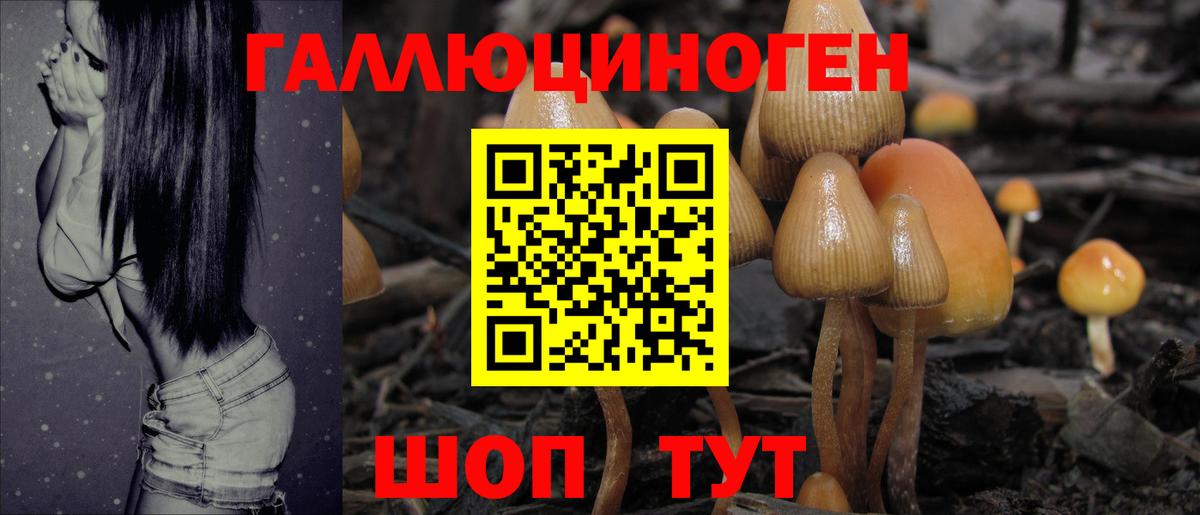 Галлюциногенные грибы мицелий  Вход с VPN  Краснознаменск 
